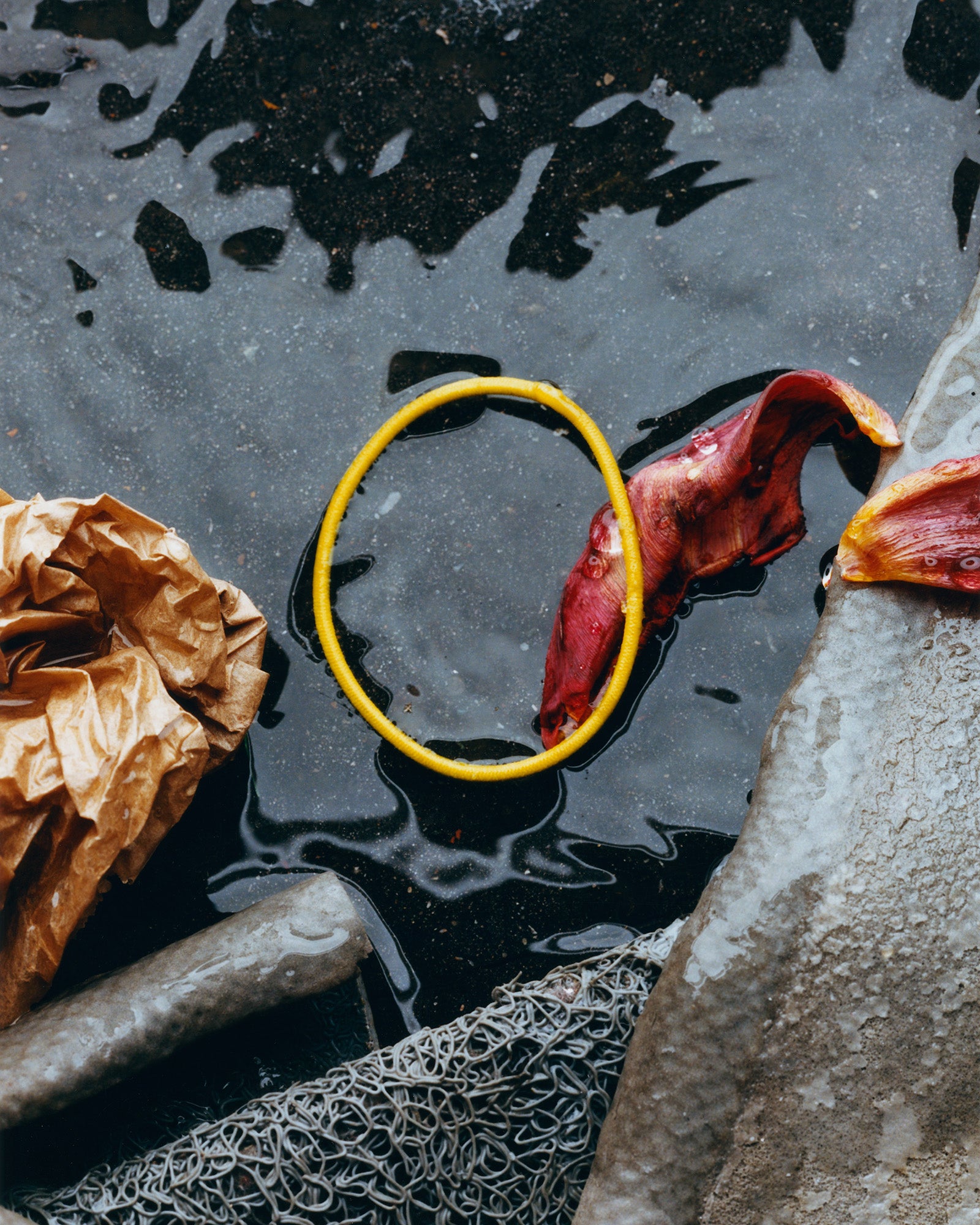 Poster - Charles Negre