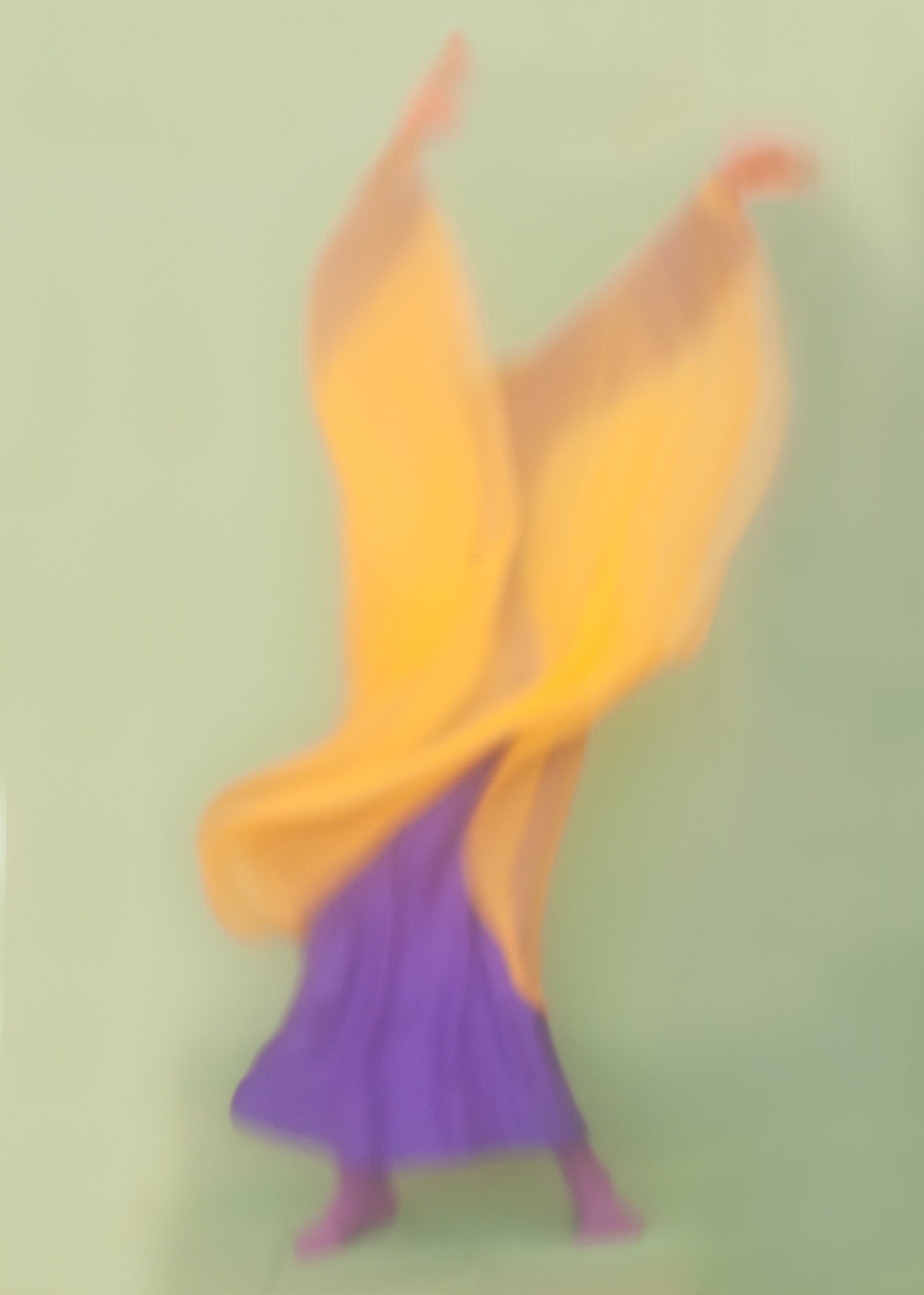 Poster - Paul Rousteau