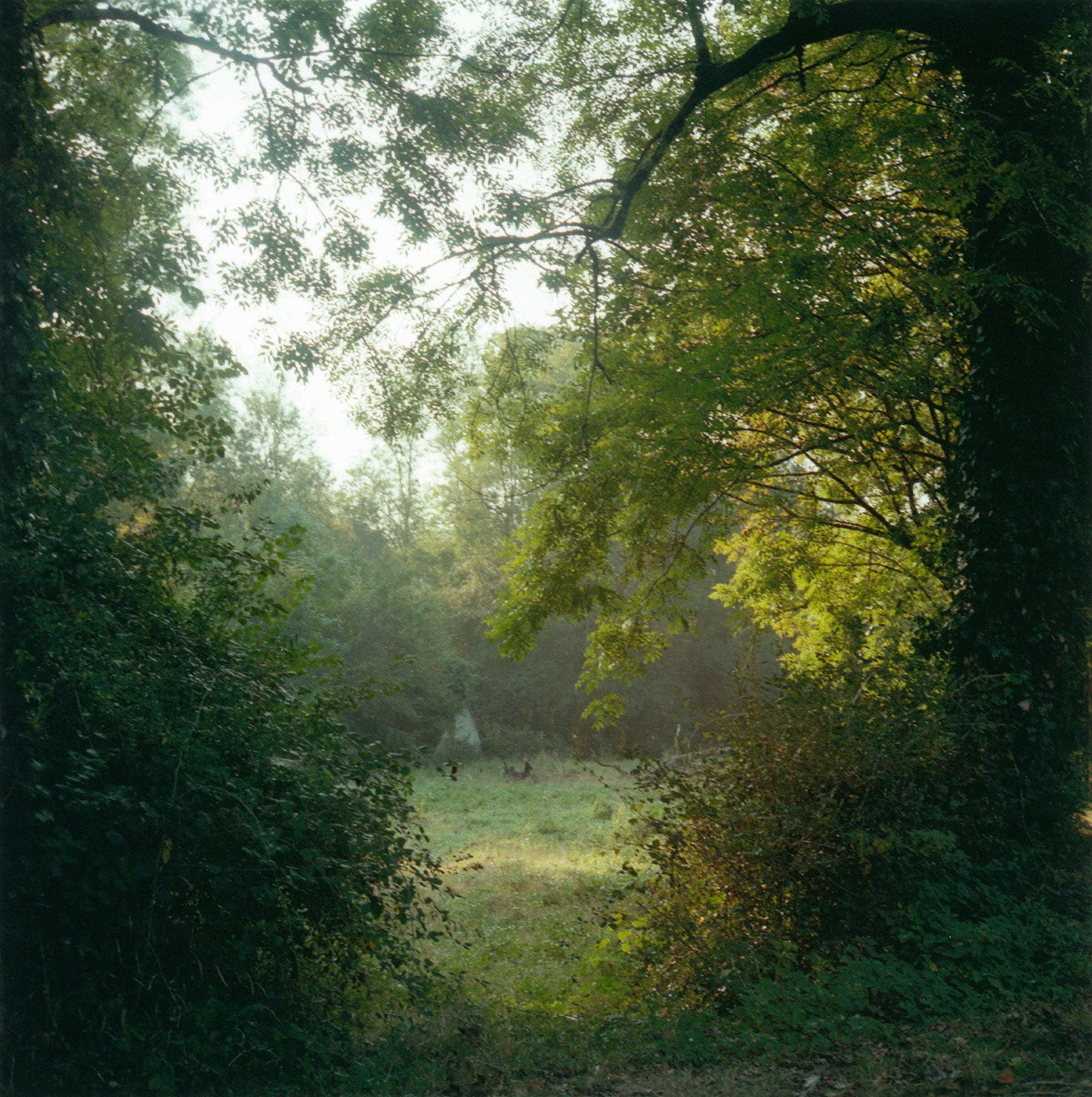 Poster - Charlotte Toscan du Plantier