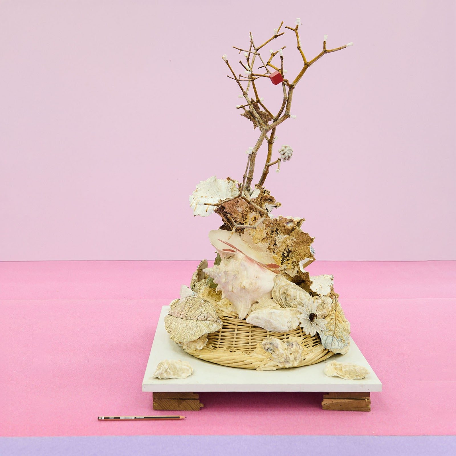 Bernard Hubault - Bourgeonnement