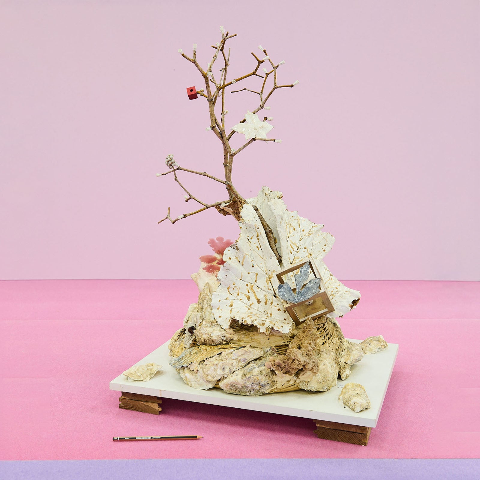 Bernard Hubault - Bourgeonnement