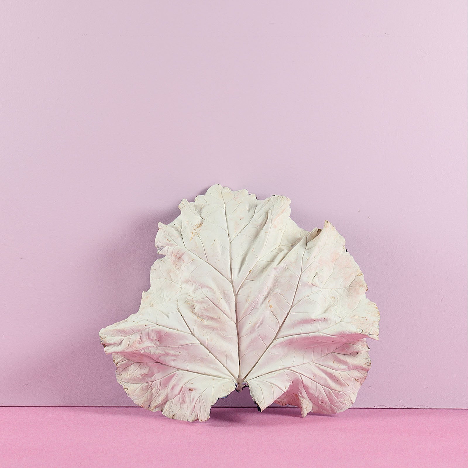 Bernard Hubault - Feuille de Petirond