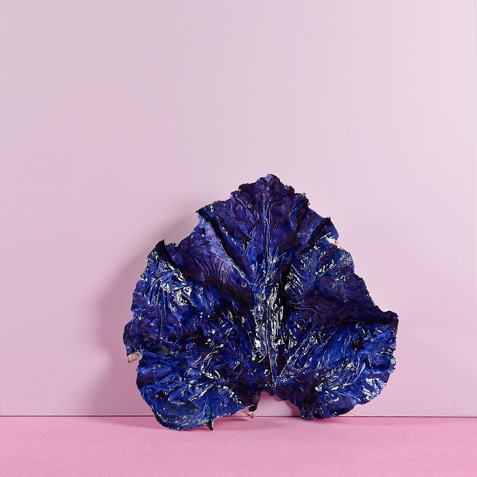 Bernard Hubault - Feuille de Petirond