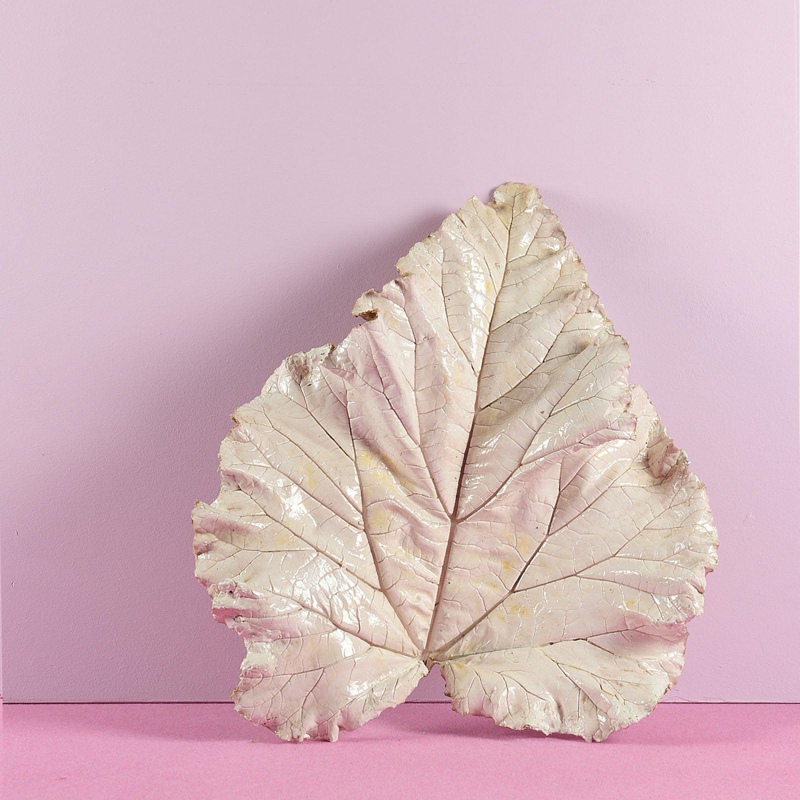 Bernard Hubault - Feuille de rhubarbe