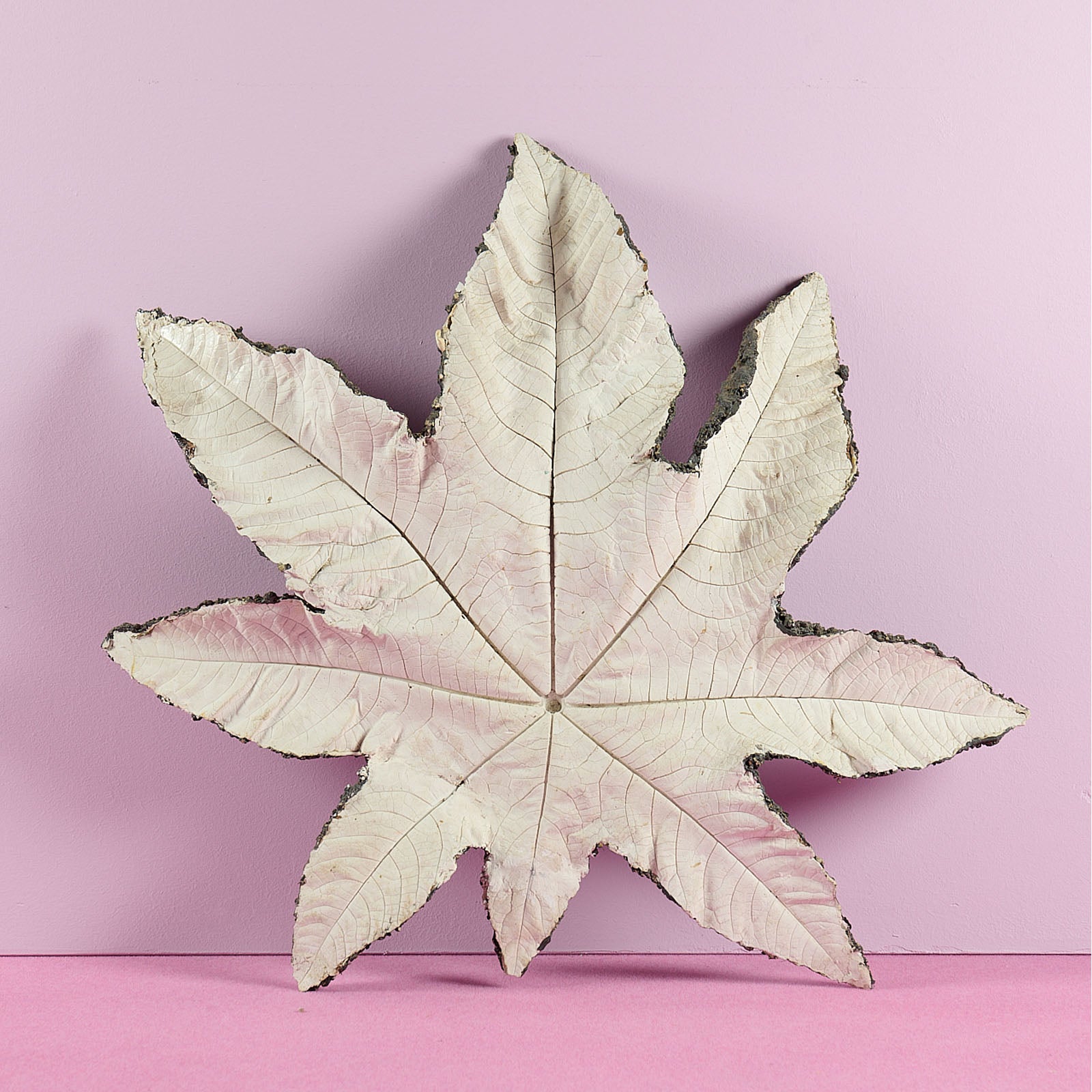 Bernard Hubault - Étoile