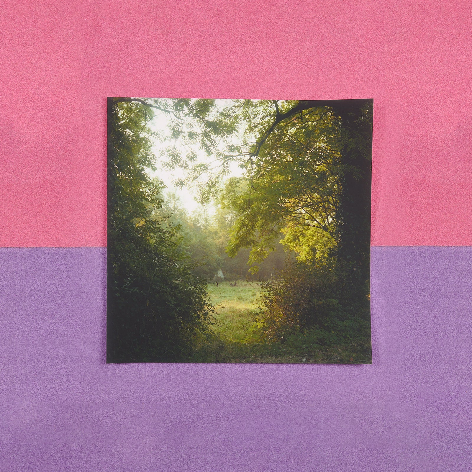 Poster - Charlotte Toscan du Plantier