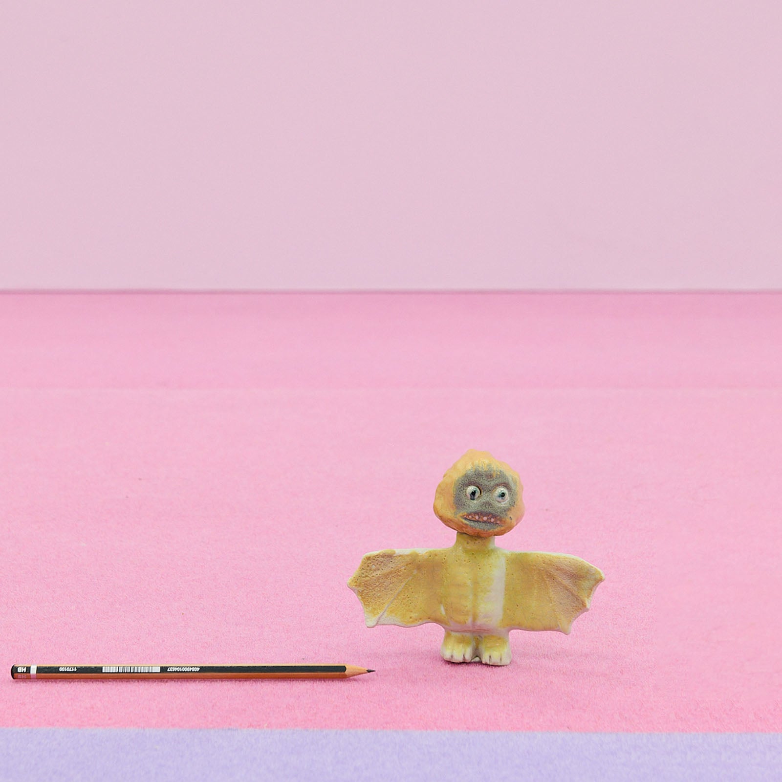 Jérôme Saunier - Gibbon tête cendrée