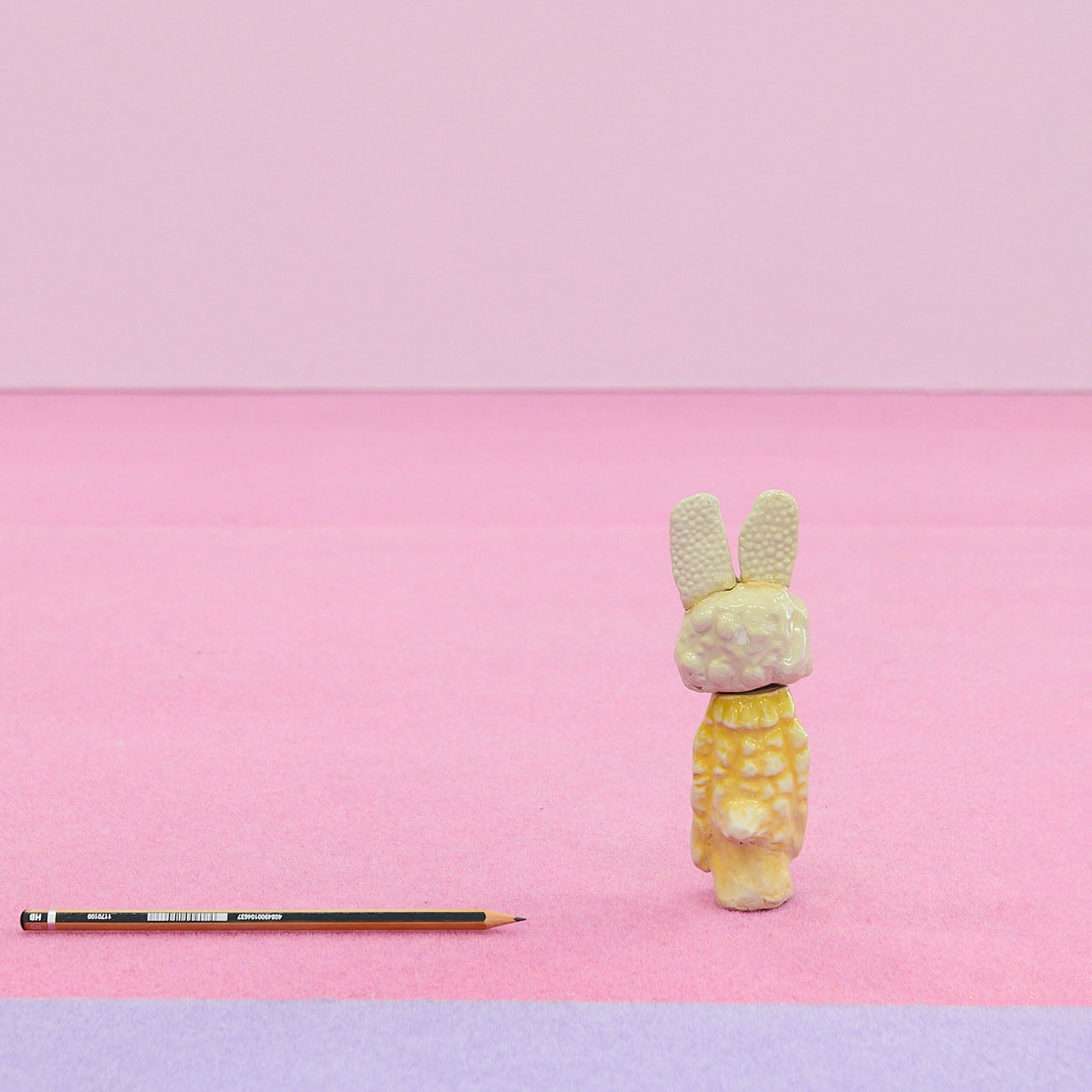 Jérôme Saunier - Lapin ocellé