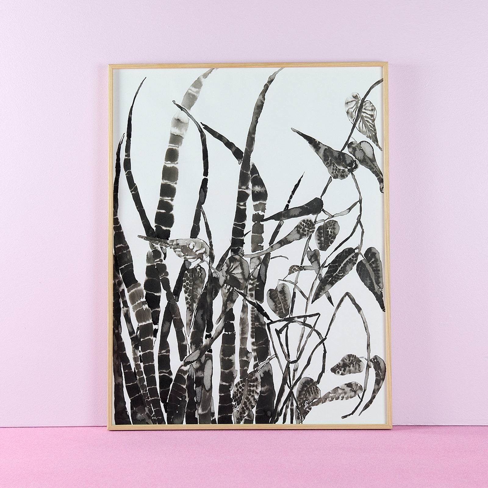 Agnès Santourian - Plantes et Tiges 1