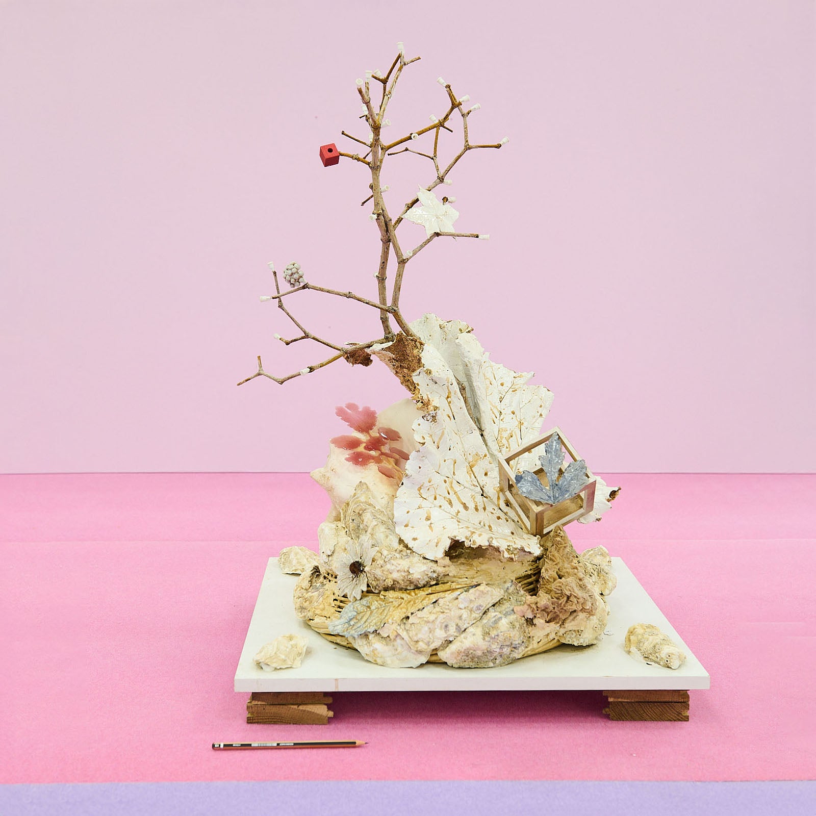 Bernard Hubault - Bourgeonnement