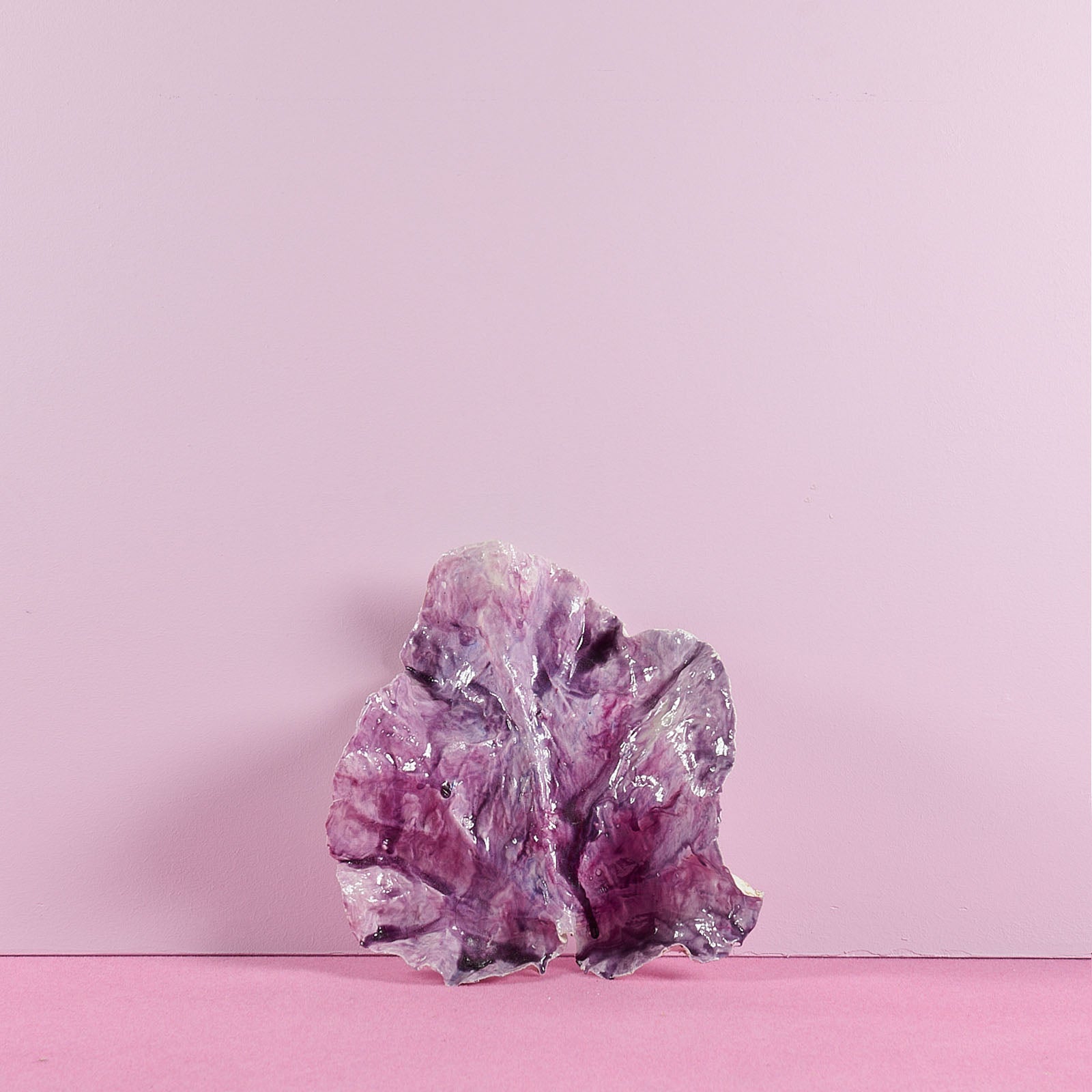 Bernard Hubault - Feuille de Petirond