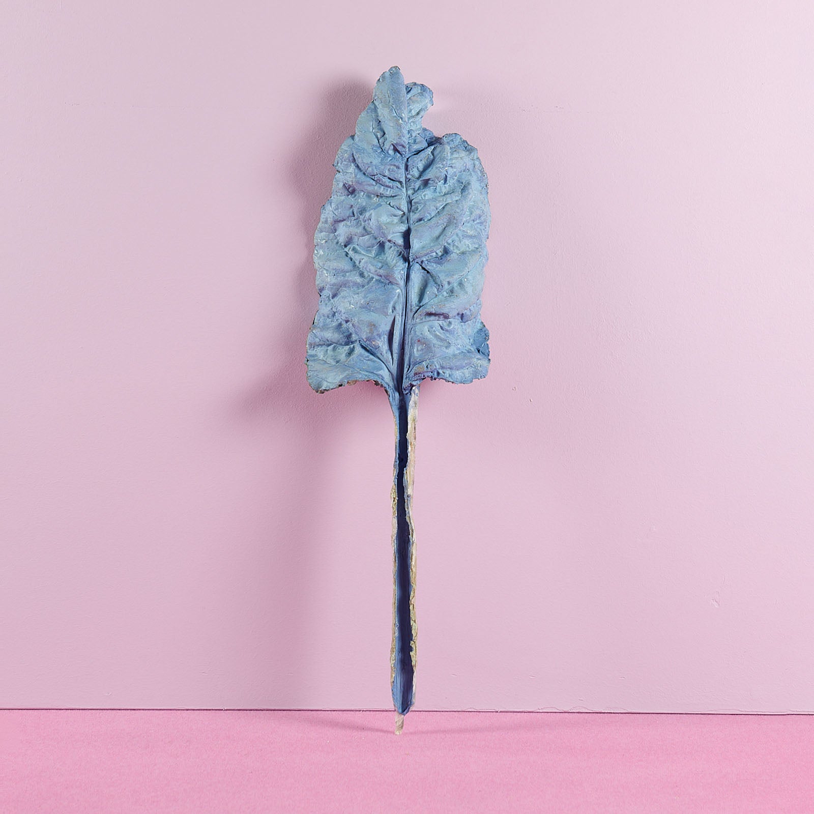 Bernard Hubault - Feuille de salade