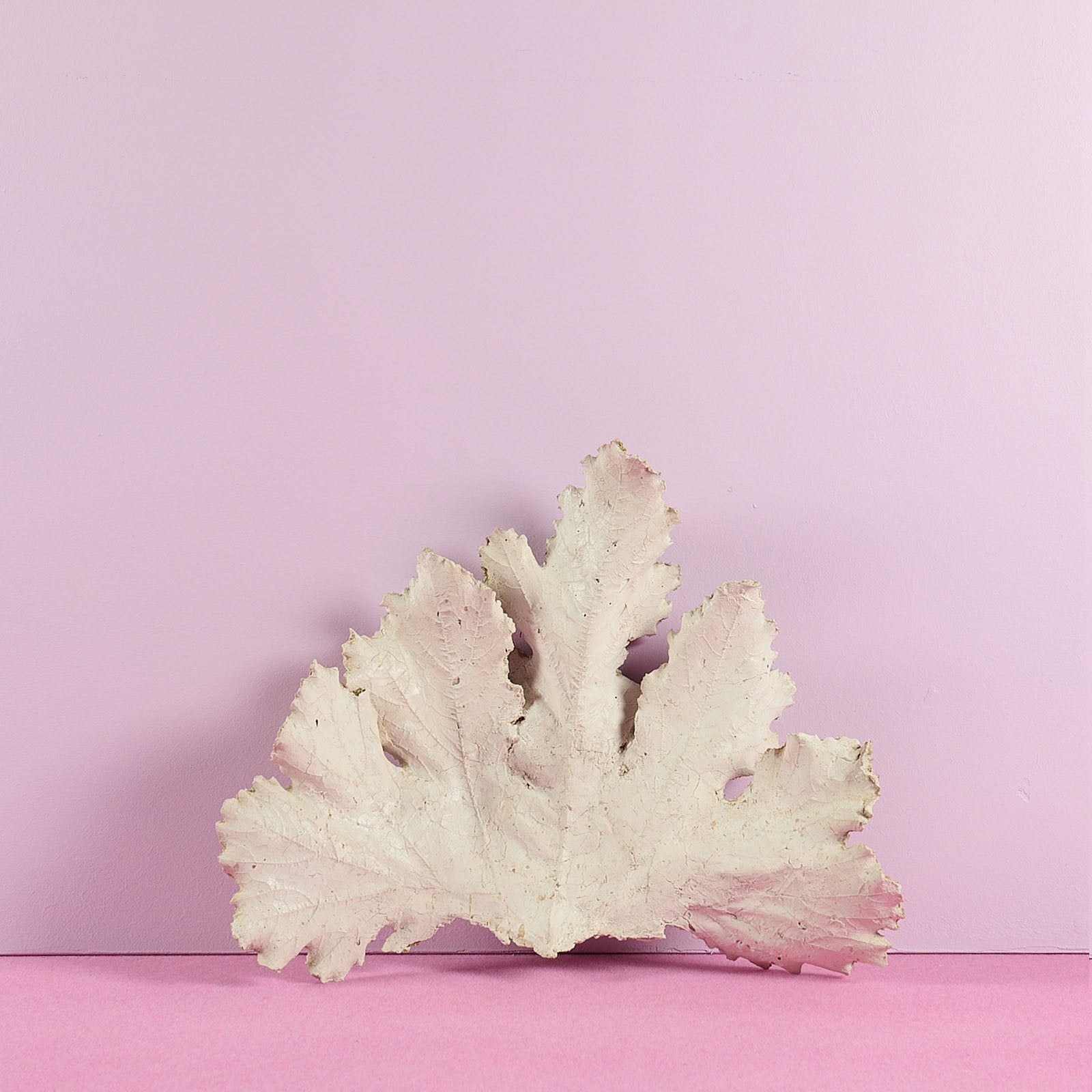 Bernard Hubault - Feuille triangulaire