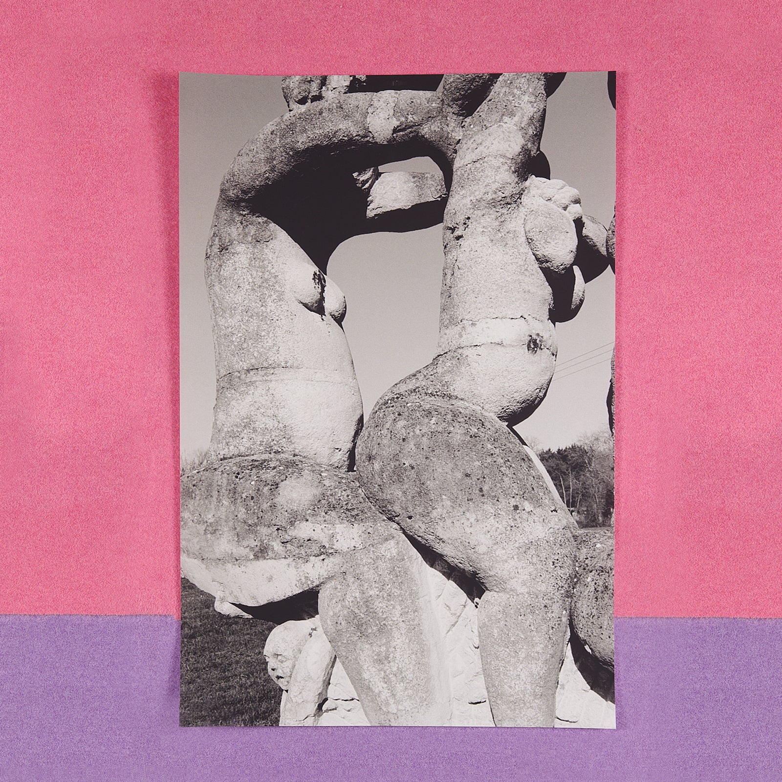 Poster - Camille Vivier