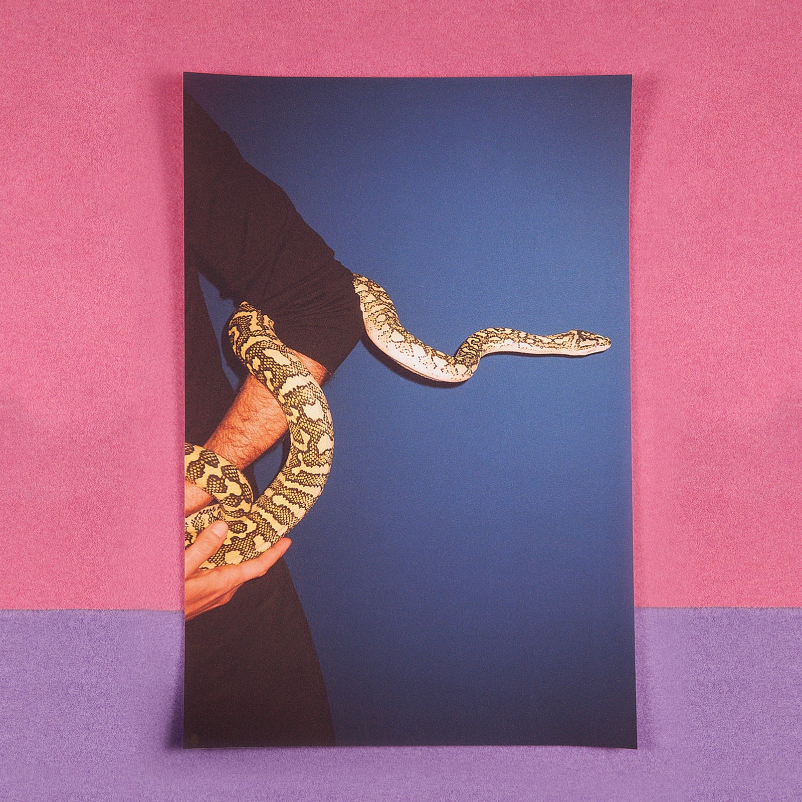 Poster - Pauline Hisbacq