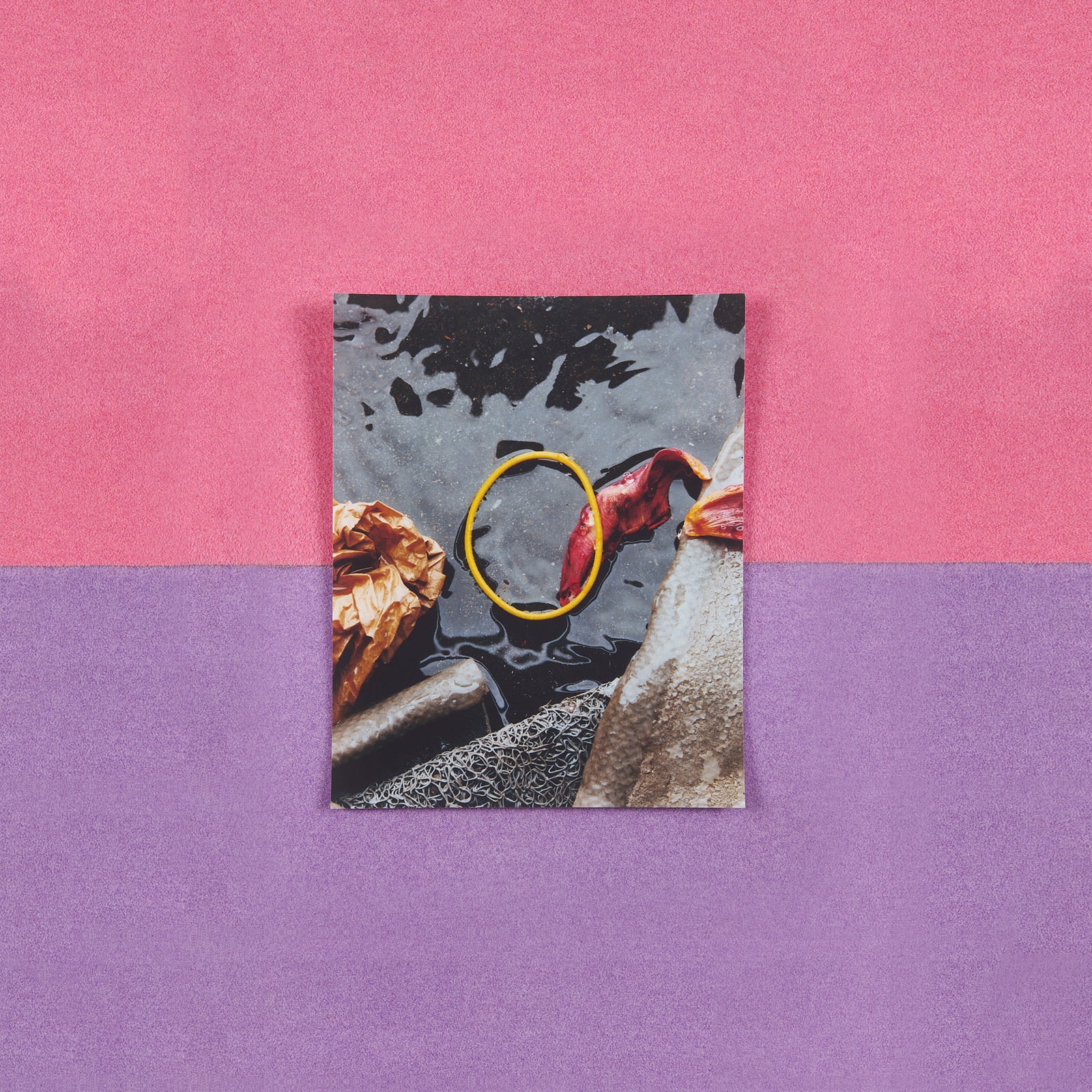 Poster - Charles Negre