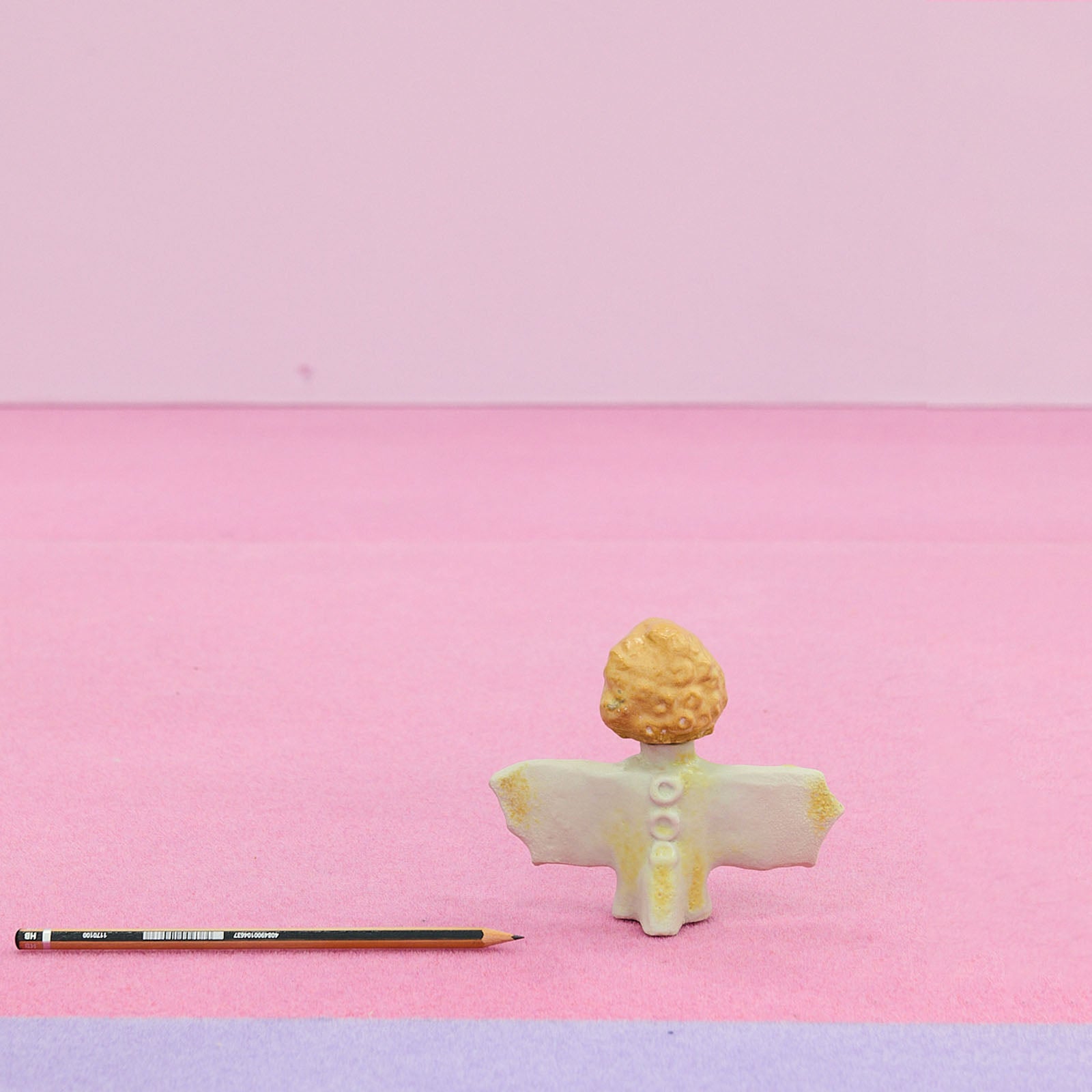 Jérôme Saunier - Gibbon tête cendrée