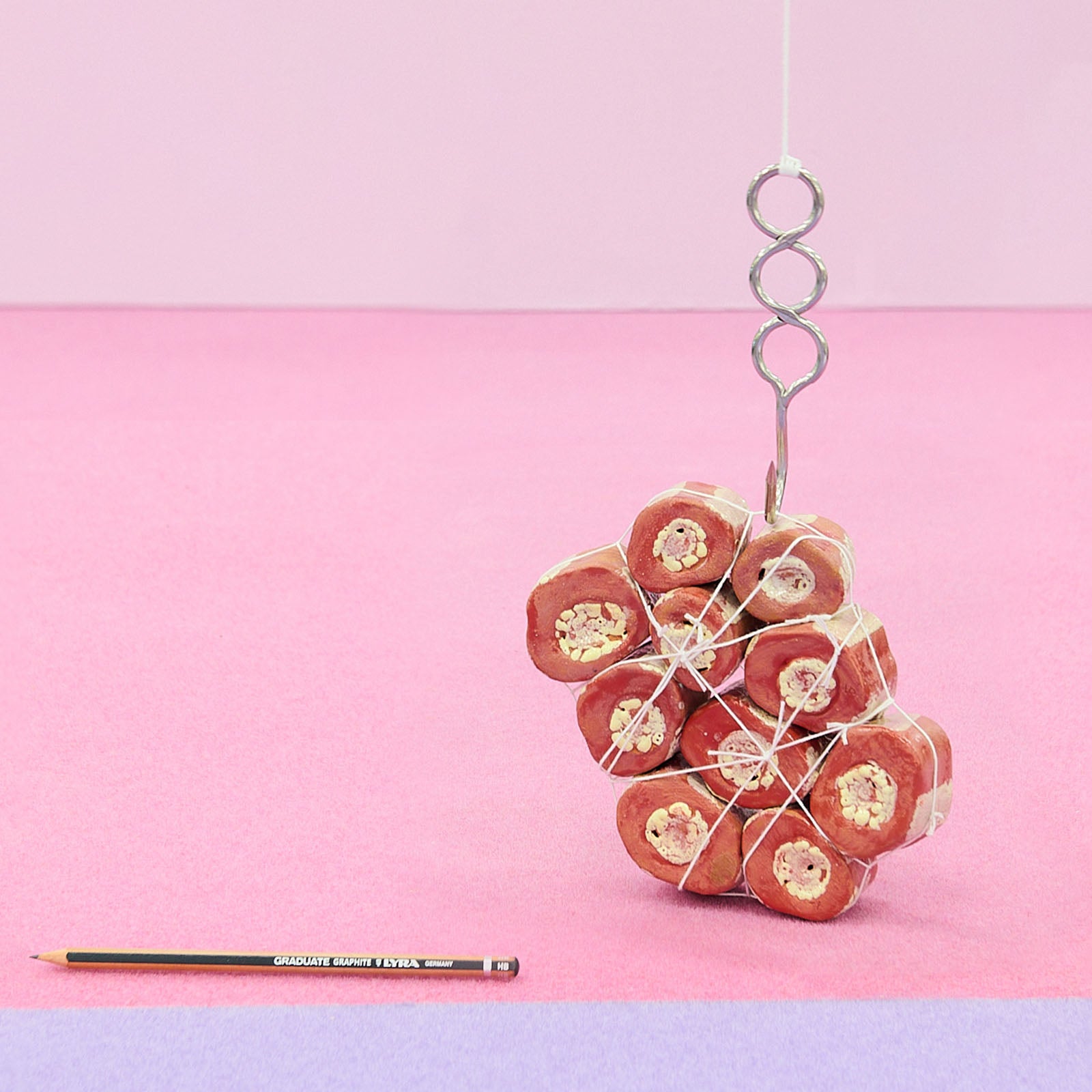 Vincent Leret - Queue de boeuf de Léon Plaine